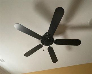 Black ceiling fan