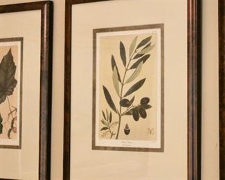 Four framed botanical prints.