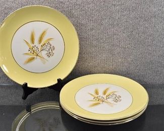 Lot of 4 Semi Vitreous Dinnerware Dinner Plates | Autumn Gold | 10" Dia