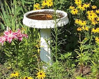 Bird bath