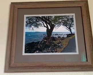 Set of 3 framed original pictures of Maui Hawaii