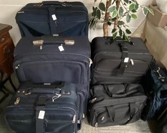 Multiple Sizes, various brands of luggage, Ficus Tree