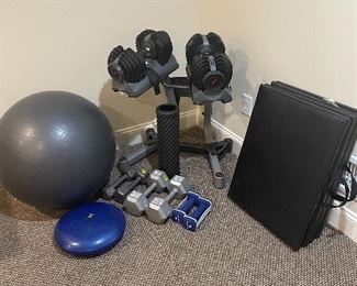 Bow flex multi wait system on stand