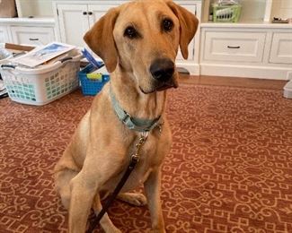 I was photo ready but I’m not for sale!! Just super cute and irresistible!