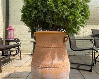 Large terracotta pot