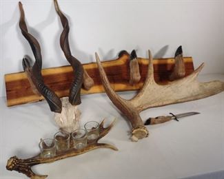 Antlers and Deer Hoof Displays