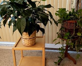 Plant on end table & pedestal stand & plant