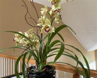 Silk orchids in black ceramic pot, from "Preferred Plants"