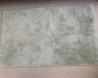 Green Pottery Barn rug: 28" x 44 1/2"