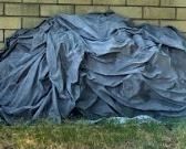 Split and Dried Firewood