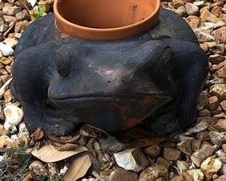 POTTED FROG