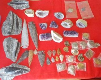 Prehistoric Fossils and Arrowheads