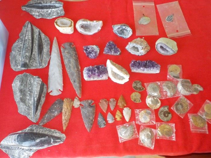 Prehistoric Fossils and Arrowheads