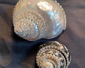 Ferrare with company seashells.