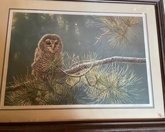Seerey-Lester owl print.