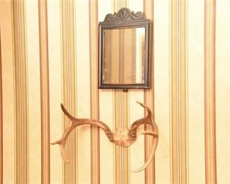 Mirror and Horn Mount
