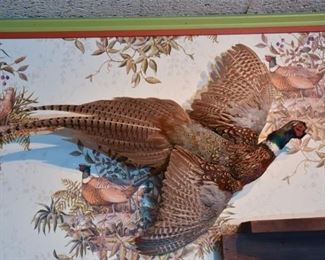 Taxidermy Bird In Flight