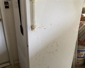 Full size upright freezer