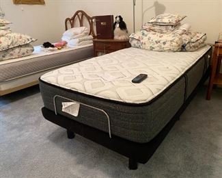 Fur spaniel dog, solid wood furniture 