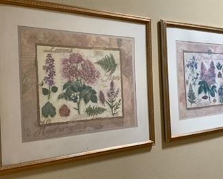 Botanical style framed art.