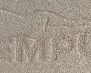 Tempur Mattress/BS
