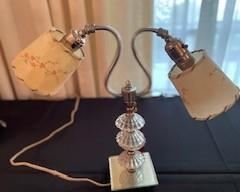 Double Arm Table Lamp with Shades