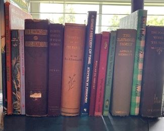 Vintage and antique books