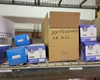 Assorted Incandescent Light Bulbs