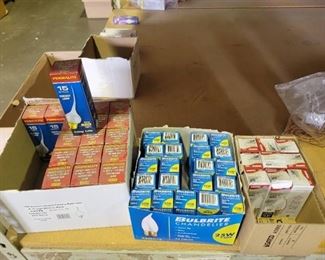 Assorted Chandelier Bulbs