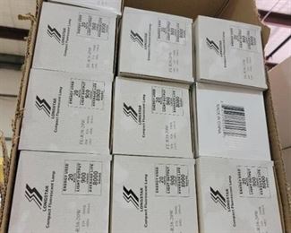 Assorted Compact Fluorescent Bulbs