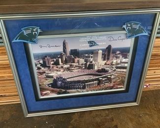 Nice Framed Panthers Stadium Print
