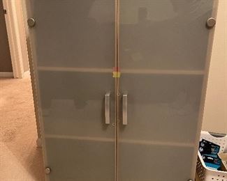 Storage cabinet with frosted glass doors...