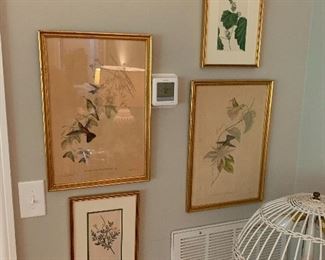 Botanical prints