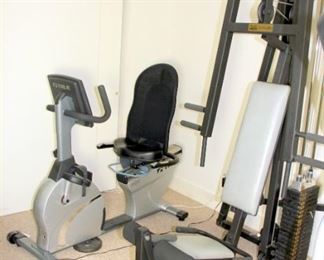 Pacific Fitness Malibu Home Gym, True EX700 Stationary Bike