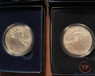 American Eagle Silver Coins