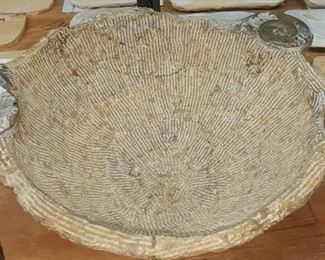 Ammonite fossil bowl (Morroco)
