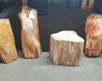 Large petrified wood pieces (All of these are over 1 foot tall. 