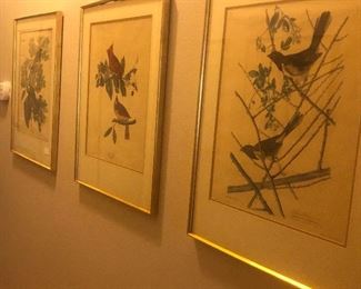 Audubon Prints
