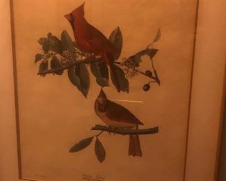 Audubon Print