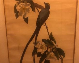 Audubon Print