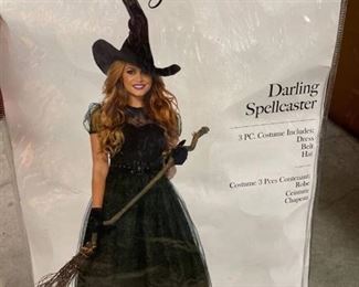 Darling Spellcaster Ladies Costume size M