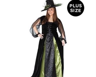 Goth Maiden Witch Plus Size Adult Halloween Costume