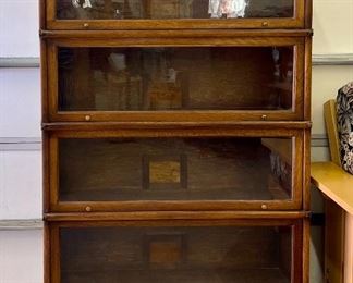 Gorgeous "Wernicke" Barrister Case