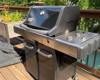 Weber Grill
