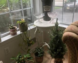 Round Distressed Side Table, Plants, Tree