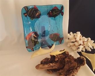 Down By The Sea Coral Dolphins and Playful Fish