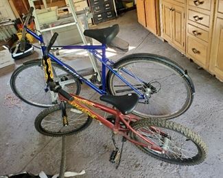 Cobra Quest kids bike and GT ARETTE  bike