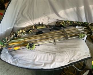 Compound bow, arrows and case