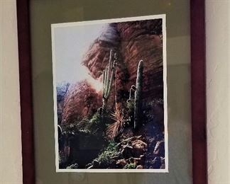 Cactus and Mountain art