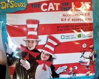 Dr Seuss the Cat in the Hat Costume